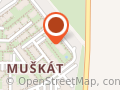 Fotokútik Instazrkadlo