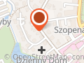 Usługi lingwistyczne - Leśniak A. Lingua
