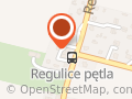 ROLNICZA SPÓŁDZIELNIA PRODUKCYJNA W REGULICACH
