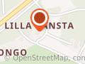 Hälsodamen