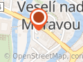 Svršek Ivo MUDr. CSc. - Alergolog, Imunolog