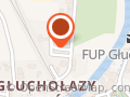 Restauracja alternatywa