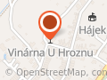 Penzion Vinárna U hroznu