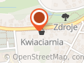 Usługi Transportowe. Ireneusz Roszak