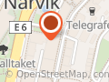 Naprapat Runa Rogstad Ekanger