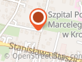 Stowarzyszenie Krotoszyńska Liga Darta