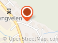 Han Runar Ingebrigtsen