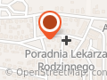 Global Service Przemysław Niesyto