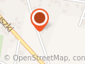 Nieregularny Transport Osobowy. Alina Jaworska