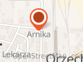 Arnika. Apteka