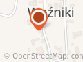 Transkor. Handel korą. Usługi transportowe