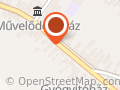 Fagyöngy Gyógyszertár-Tét