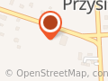 Publiczne Przedszkole 'Fantazja' w Przysiece, gm. Mieleszyn