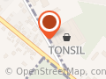 Tonsil