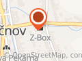 Javor Jan