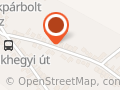 Bodrogi Ferencné ev.