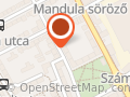Viszem magammal