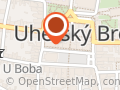 Fokus Optik