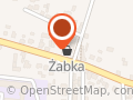 Żabka