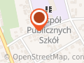 Nowicki Stanisław. Publiczny Transport Drogowy