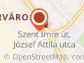 INJEKTOR Autósbolt