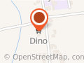 Market Dino