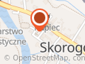 Żabka