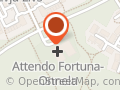 Attendo Fortuna