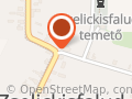 Zselickisfaludi Nagyboldogasszony-templom