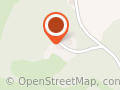 Zelus