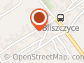OCHOTNICZA STRAŻ POŻARNA W BLISZCZYCACH