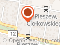 Libra. PPH. Tablice samochodowe. Dąbrowski Z.