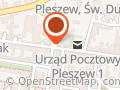 Western Union W Pleszew