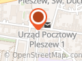Muzaki. Sklep muzyczny. Michaliszyn P.
