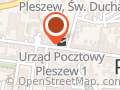 Ergo Hestia Ubezpieczenia Pleszew