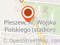 Pod Kasztanami. Pijalnia piwa. Borowiak H.