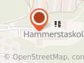 Grundskola Hammerstaskolan