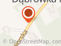 Usługi Transportowe Dariusz Piotrowski