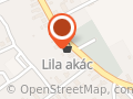 Lila Akác