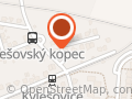 Česká Pojišťovna Kubánková Jana Ing.