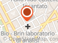 Ursi Antonio (Geom.)