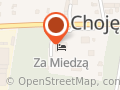 CHOJMEX