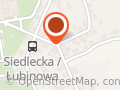 Olejniczak Ryszard. Transport Ciężarowy