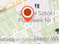 Profesjonalny Strój Gwiazdora