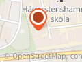 Sköna Ting