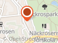 Miljökonsult b Goldstein