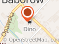 Market Dino