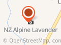 NZ Alpine Lavender