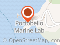 NZ Marine Studies Centre & Aquarium