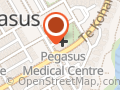 PHYSIOSOUTH Pegasus